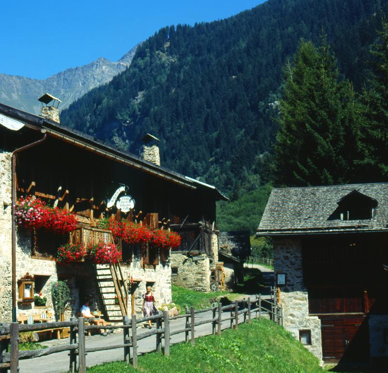 Chalet Alpenrose Bio Wellness Naturhotel Cogolo Exterior photo