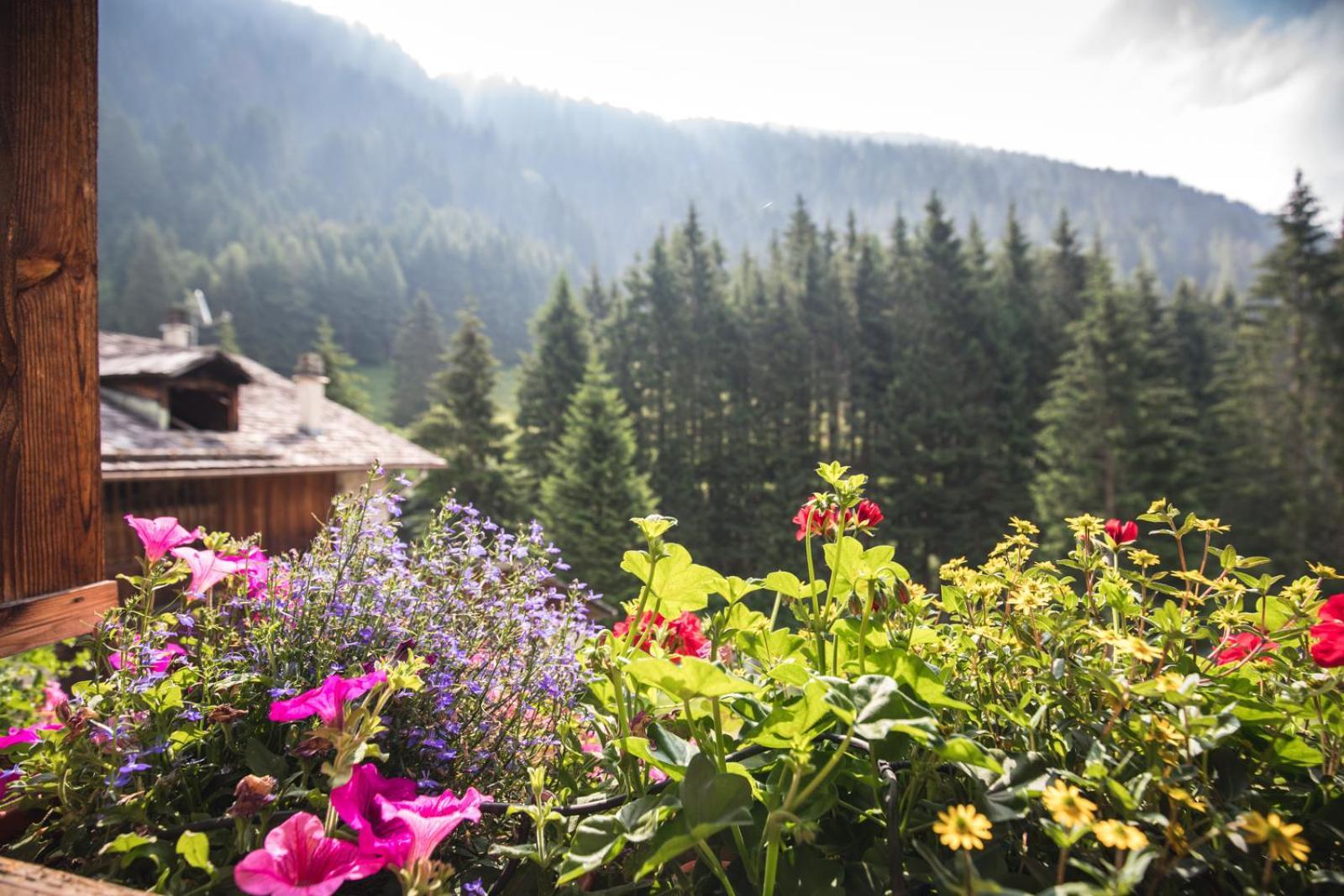 Chalet Alpenrose Bio Wellness Naturhotel Cogolo Exterior photo