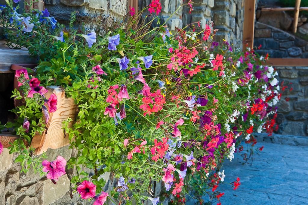 Chalet Alpenrose Bio Wellness Naturhotel Cogolo Exterior photo