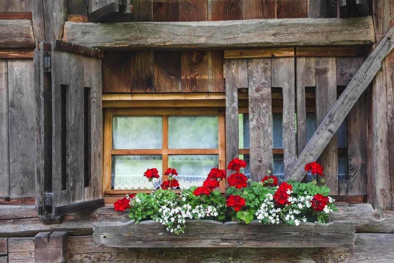 Chalet Alpenrose Bio Wellness Naturhotel Cogolo Exterior photo